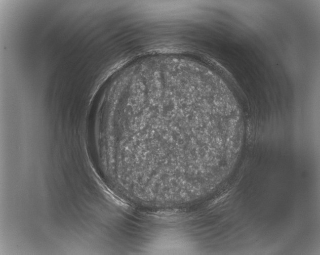 X0000066530725200604141839