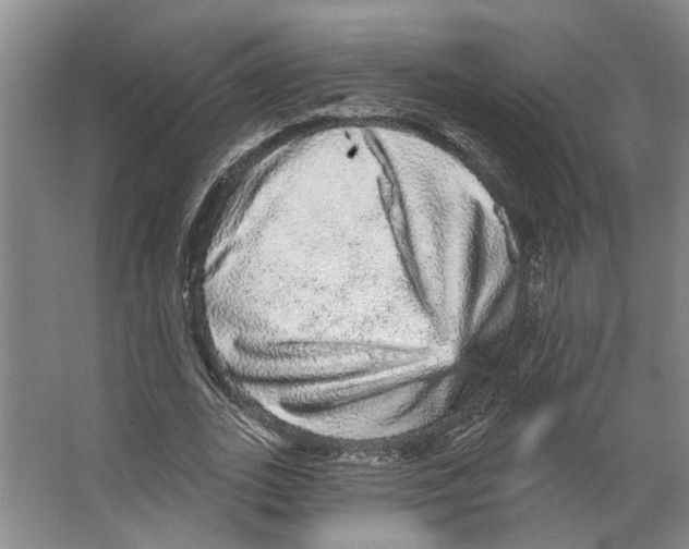 X0000066530727200604141839