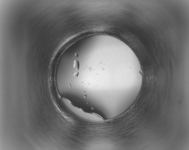 X0000066530728200604141839