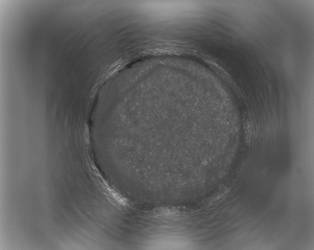 X0000066530729200604141839