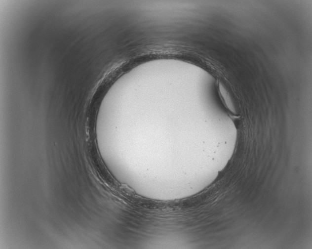 X0000066530731200604141839