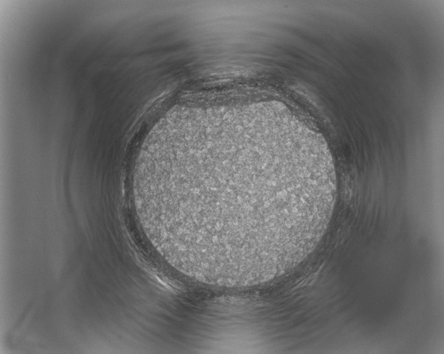 X0000066530733200604141839