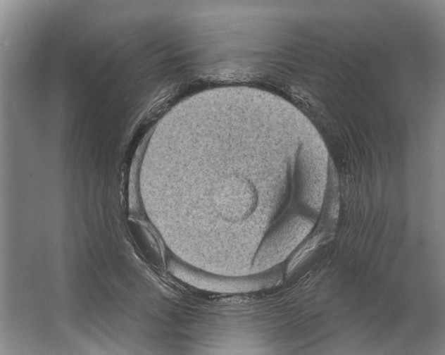 X0000066530735200604141839