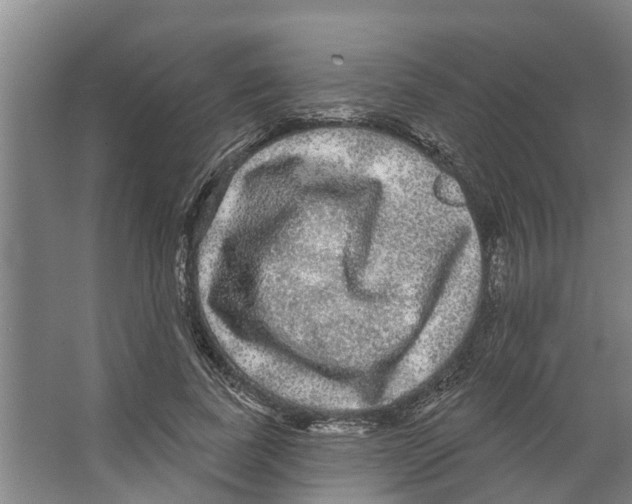 X0000066530739200604141839