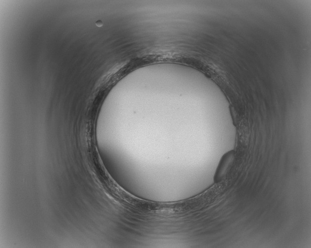 X0000066530740200604141839