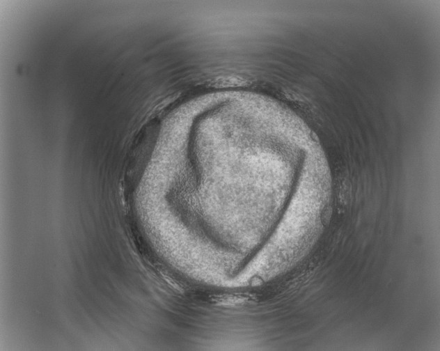 X0000066530743200604141839