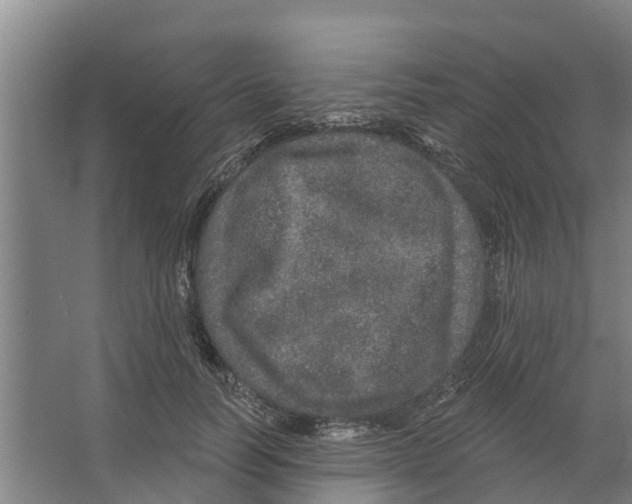 X0000066530746200604141839