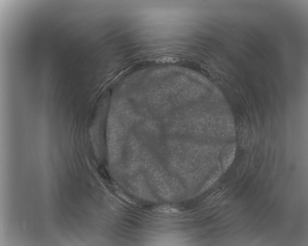 X0000066530747200604141839