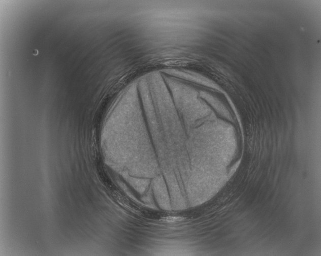 X0000066530748200604141839