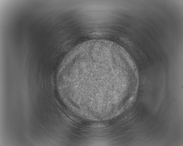 X0000066530749200604141839