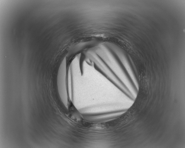 X0000066530750200604141839