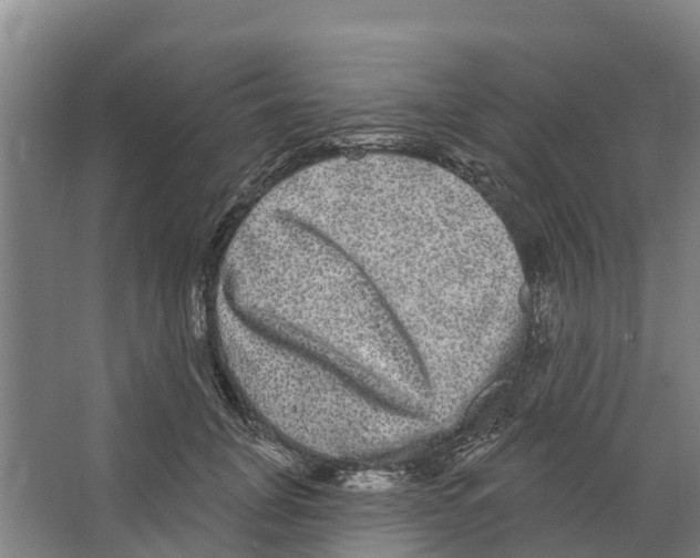 X0000066530751200604141839