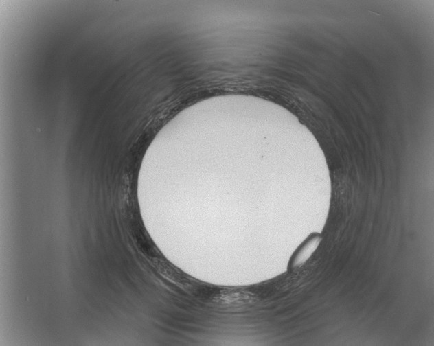 X0000066530752200604141839