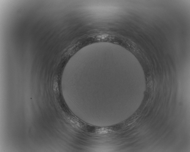 X0000066530754200604141839