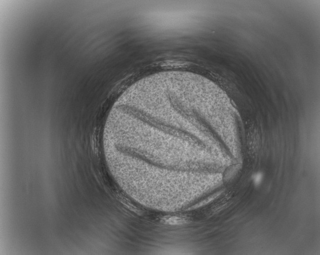 X0000066530755200604141839