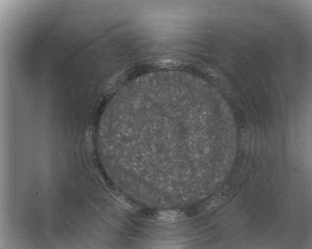 X0000066530757200604141839