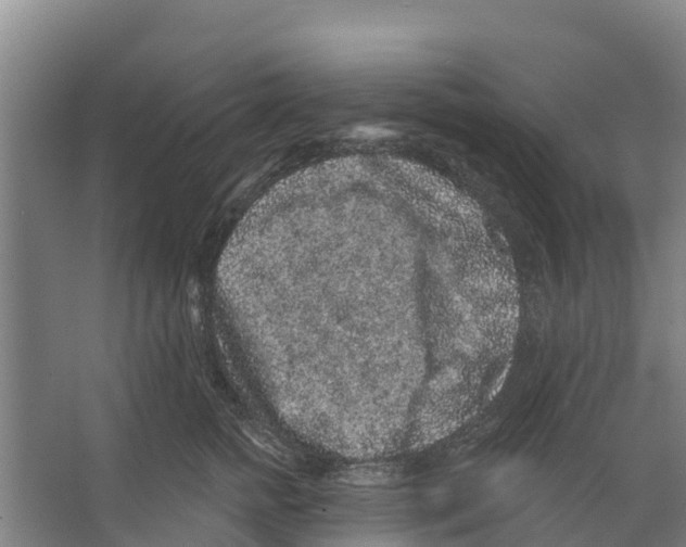 X0000066530758200604141839