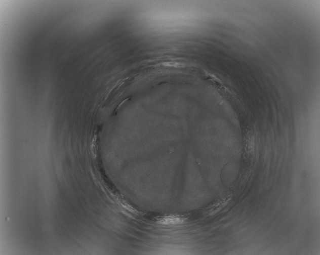 X0000066530759200604141839