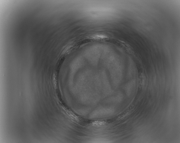 X0000066530762200604141839