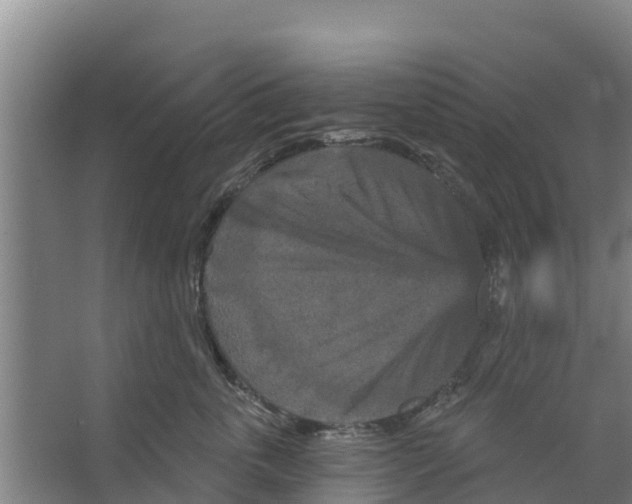 X0000066530763200604141839