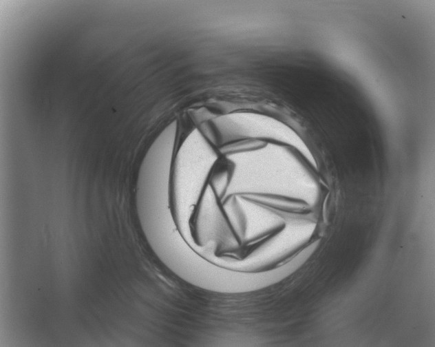 X0000066530766200604141839