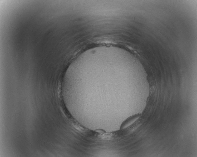 X0000066530767200604141839