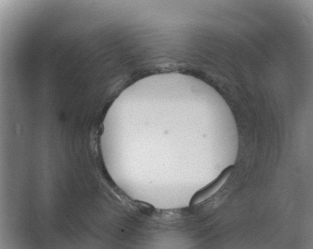 X0000066530768200604141839