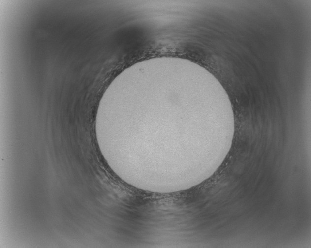 X0000066530769200604141839