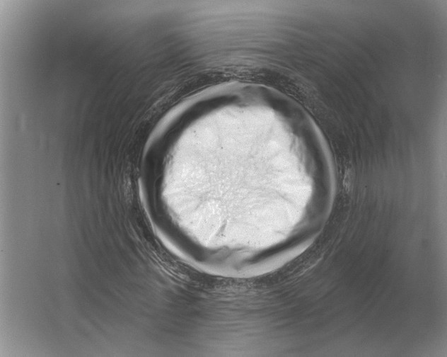 X0000066530771200604141839