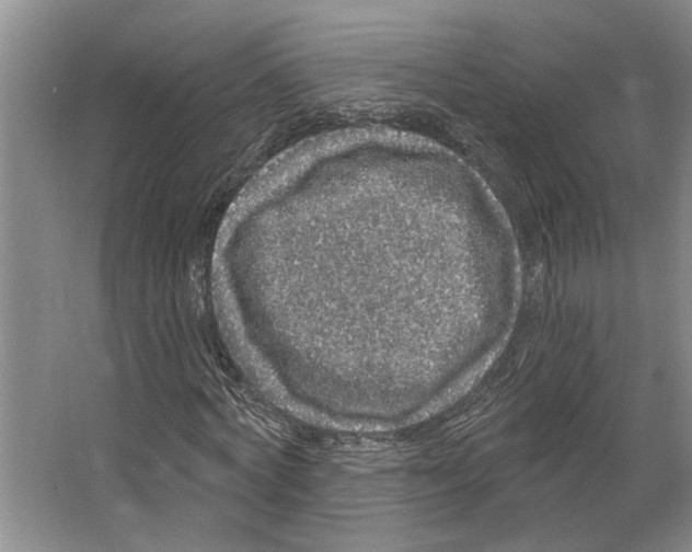 X0000066530772200604141839