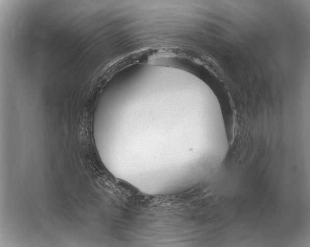 X0000066530773200604141839