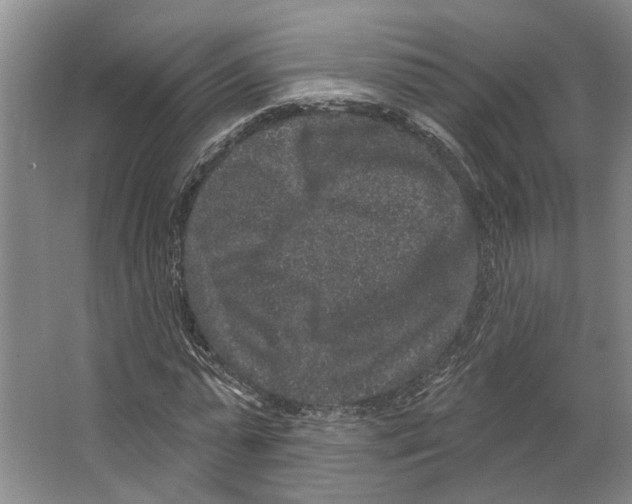 X0000066530775200604141839