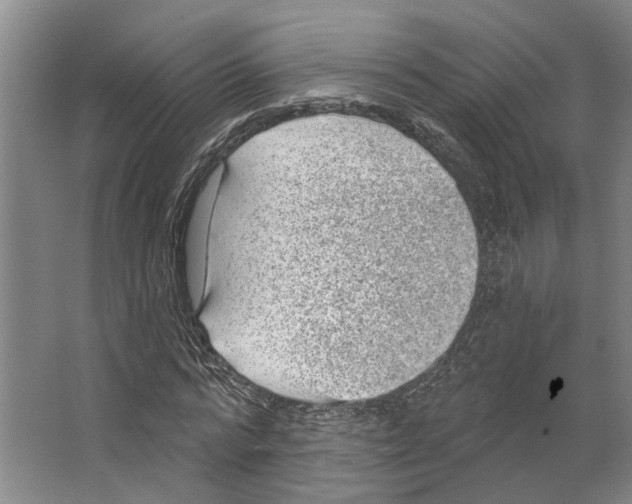 X0000066530776200604141839