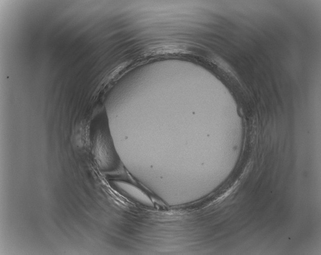 X0000066530777200604141839