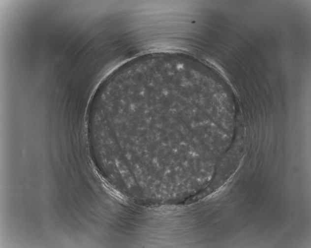 X0000066530779200604141839