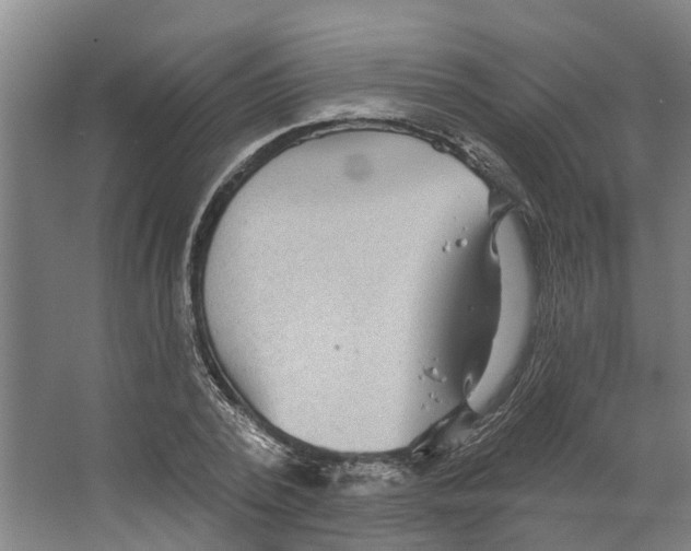 X0000066530784200604141838