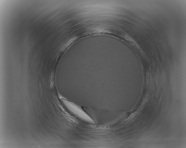 X0000066530785200604141838