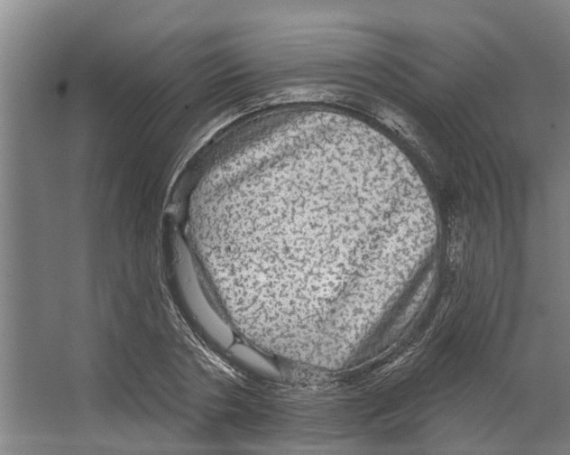 X0000066530786200604141838