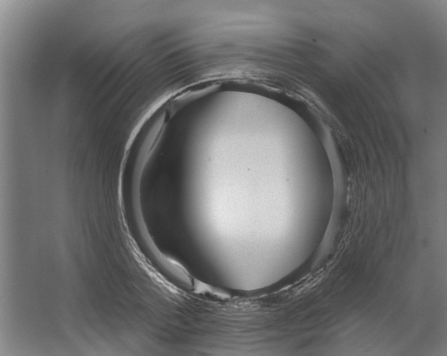 X0000066530788200604141838