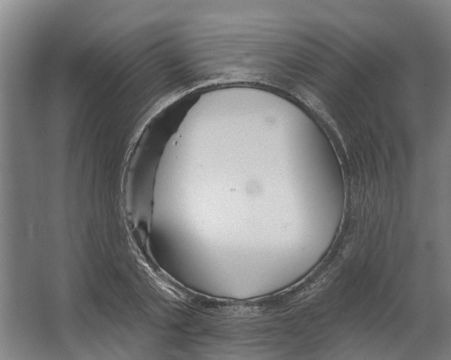 X0000066530789200604141838