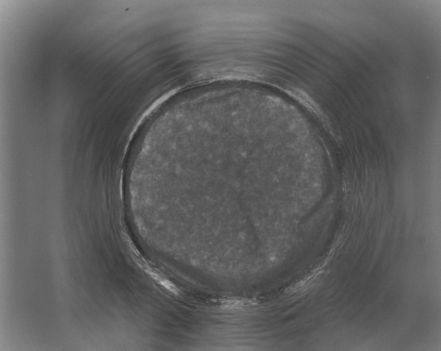 X0000066530790200604141838