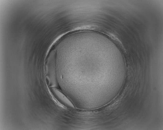 X0000066530792200604141838