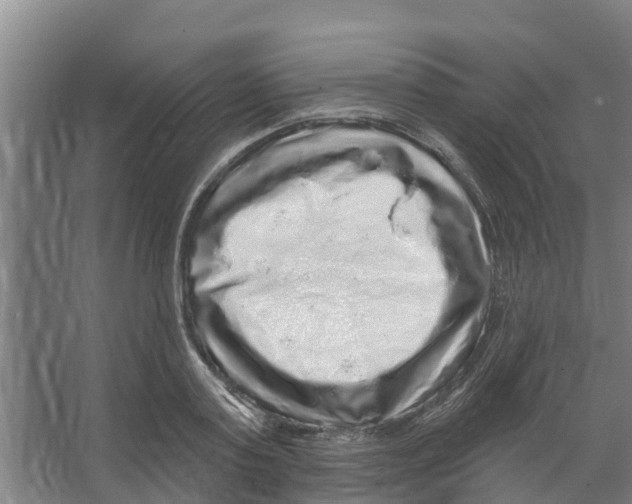 X0000066530795200604141838