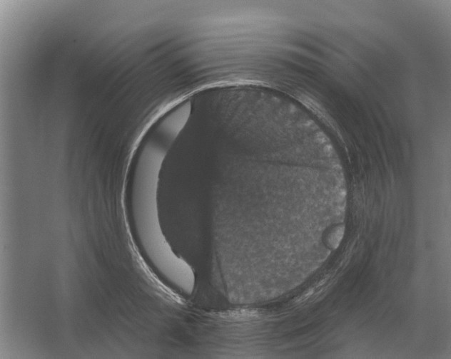 X0000066530797200604141838