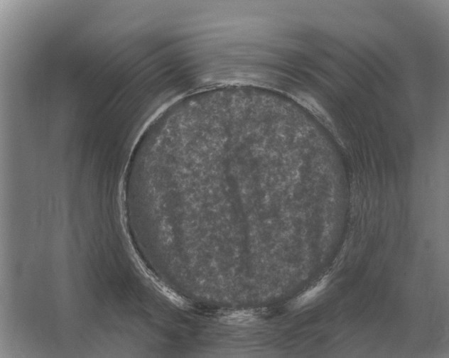 X0000066530798200604141838