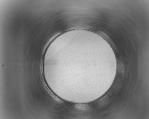 X0000066530804200604141838