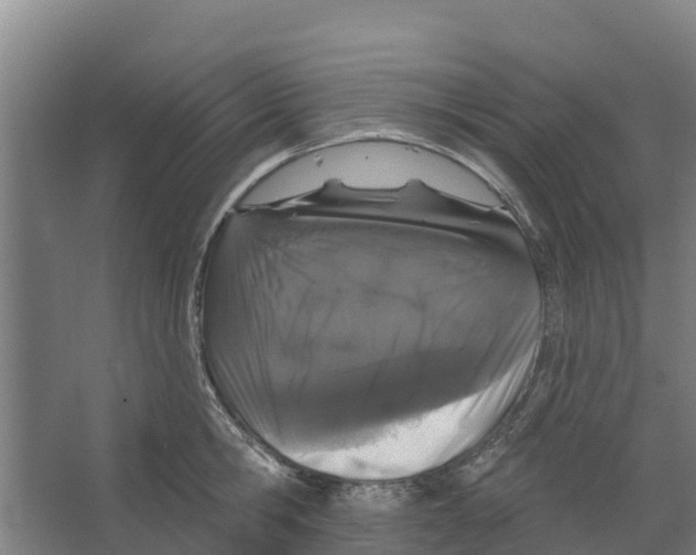 X0000066530806200604141838