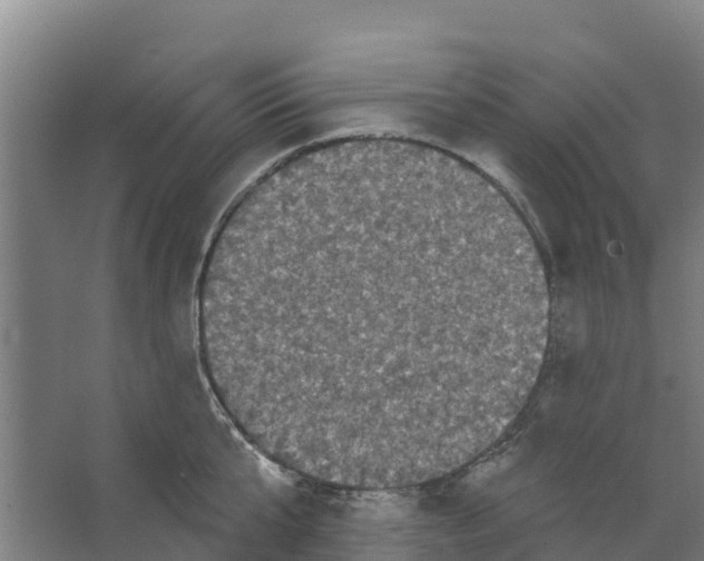 X0000066530807200604141838