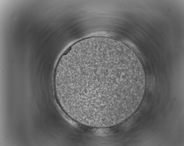 X0000066530808200604141838