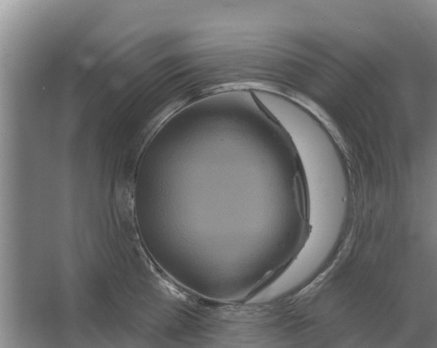 X0000066530809200604141838